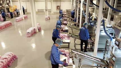 特絲麗化工 踐行環(huán)保理念，打造綠色護膚品制造新標桿